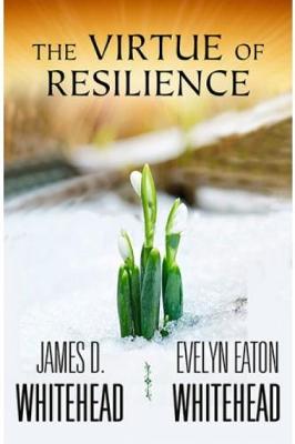 Book cover for The Virtue of Resilience