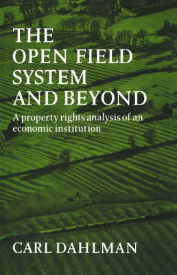 Book cover for The Open Field System and Beyond