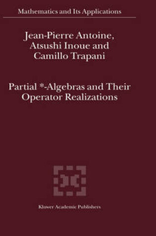 Cover of Partial *- Algebras and Their Operator Realizations