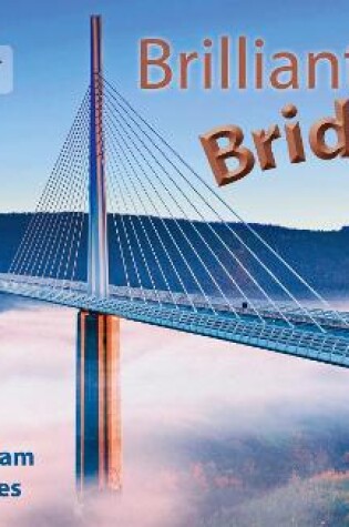 Cover of Brilliant Bridges