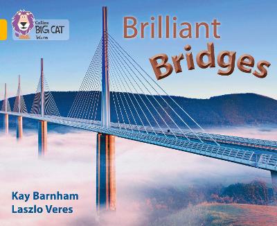 Cover of Brilliant Bridges