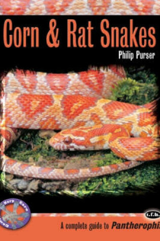 Cover of Corn and Rat Snakes