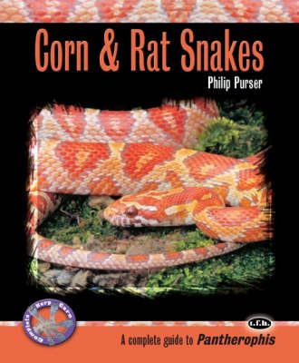 Cover of Corn and Rat Snakes