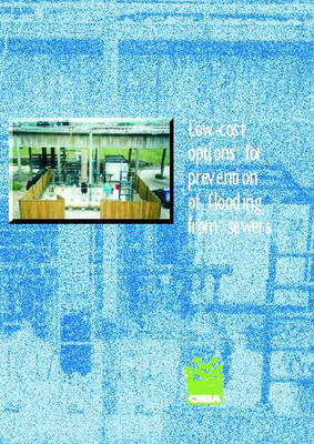 Book cover for Low Cost Options for Prevention of Flooding from Sewers