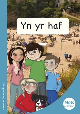 Book cover for Mêts Maesllan: yn yr Haf