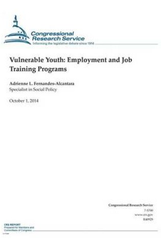 Cover of Vulnerable Youth