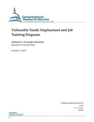 Book cover for Vulnerable Youth