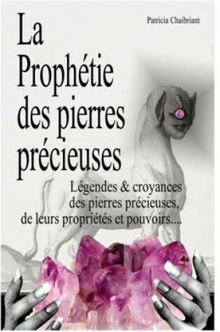 Cover of La prophétie des pierres précieuses