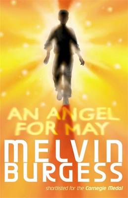 Book cover for An Angel for May