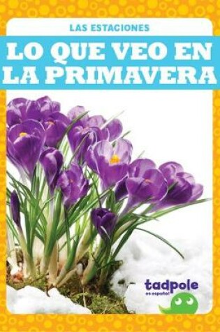 Cover of Lo Que Veo En La Primavera (What I See in Spring)