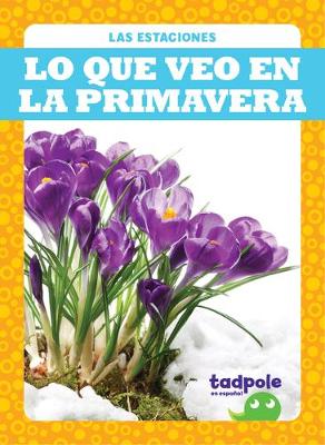 Book cover for Lo Que Veo En La Primavera (What I See in Spring)