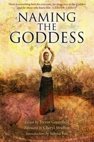 Cover of Naming the Goddess