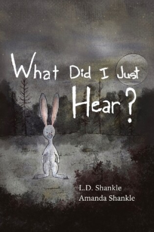 Cover of What Did I Just Hear?