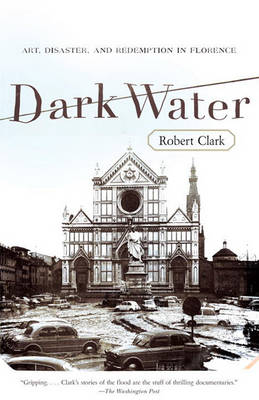 Book cover for Dark Water