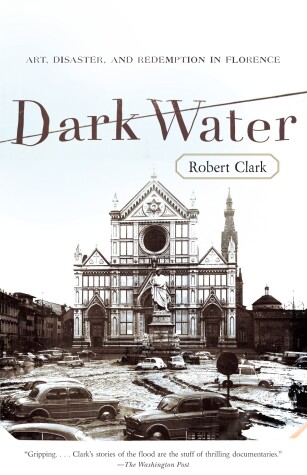 Book cover for Dark Water