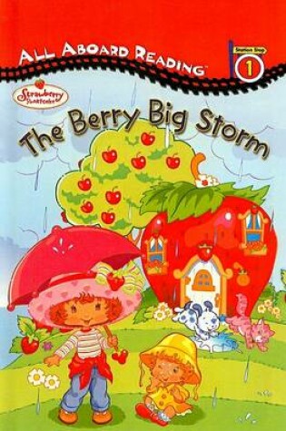 Cover of Berry Big Storm