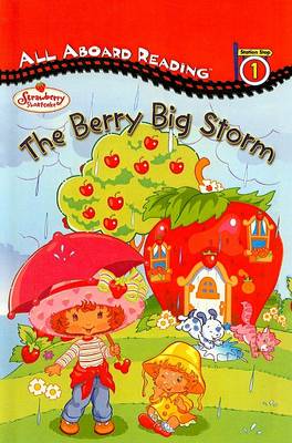 Book cover for Berry Big Storm