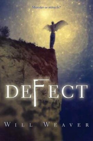 Cover of Defect