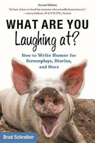 Cover of What Are You Laughing At?