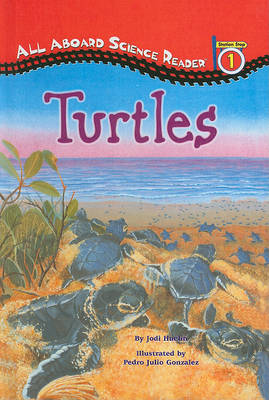 Book cover for Turtles