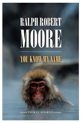 Book cover for You Know My Name