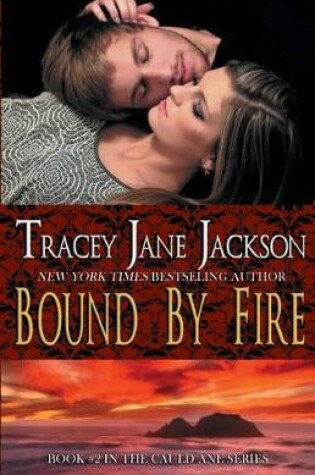 Cover of Bound by Fire