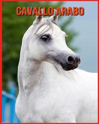 Book cover for Cavallo Arabo