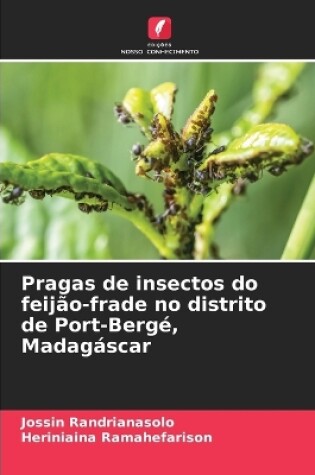 Cover of Pragas de insectos do feijão-frade no distrito de Port-Bergé, Madagáscar
