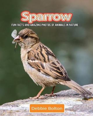 Book cover for Sparrow