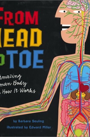 Cover of From Head to Toe