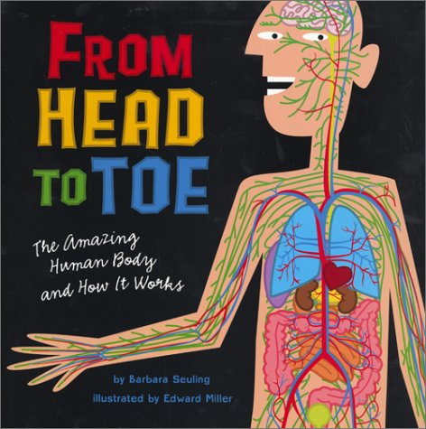 Book cover for From Head to Toe