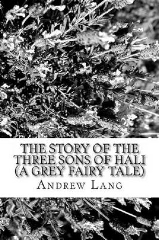 Cover of The Story of the Three Sons of Hali (a Grey Fairy Tale)