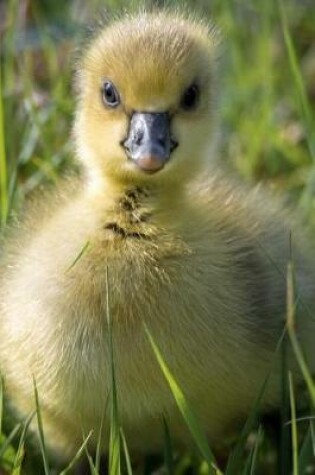 Cover of Charming Little Yellow Gosling Baby Goose in the Grass Journal