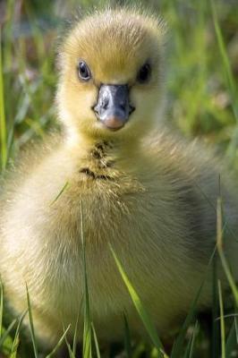 Book cover for Charming Little Yellow Gosling Baby Goose in the Grass Journal