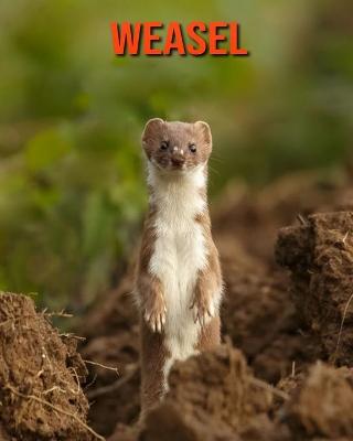 Book cover for Weasel