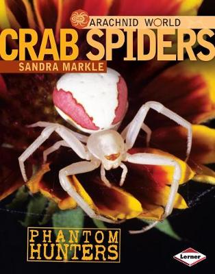 Book cover for Crab Spiders