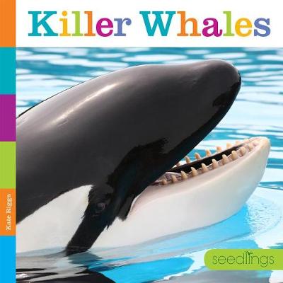 Book cover for Seedlings: Killer Whales