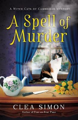 Cover of A Spell of Murder