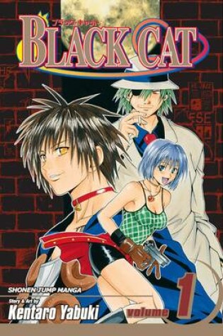 Cover of Black Cat, Vol. 1