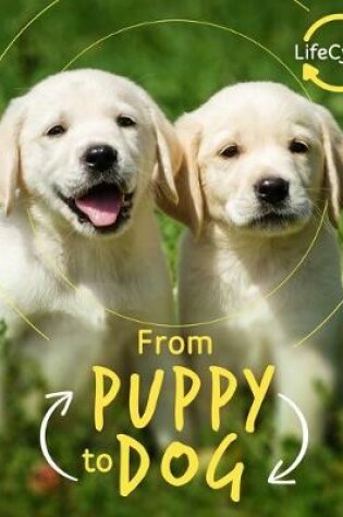 Cover of From Puppy to Dog