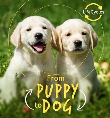 Book cover for From Puppy to Dog