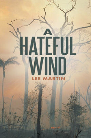 Cover of A Hateful Wind