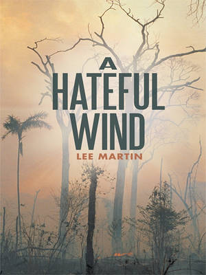 Book cover for A Hateful Wind