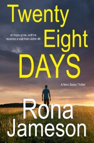 Cover of Twenty Eight Days