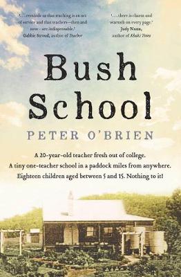 Book cover for Bush School