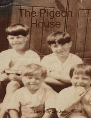 Book cover for The Pigeon House