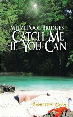 Book cover for Catch Me If You Can