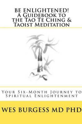 Cover of Be Enlightened! a Guidebook to the Tao Te Ching and Taoist Meditation