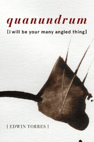 Cover of quanundrum [i will be your many angled thing]