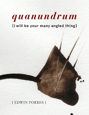 Book cover for quanundrum [i will be your many angled thing]